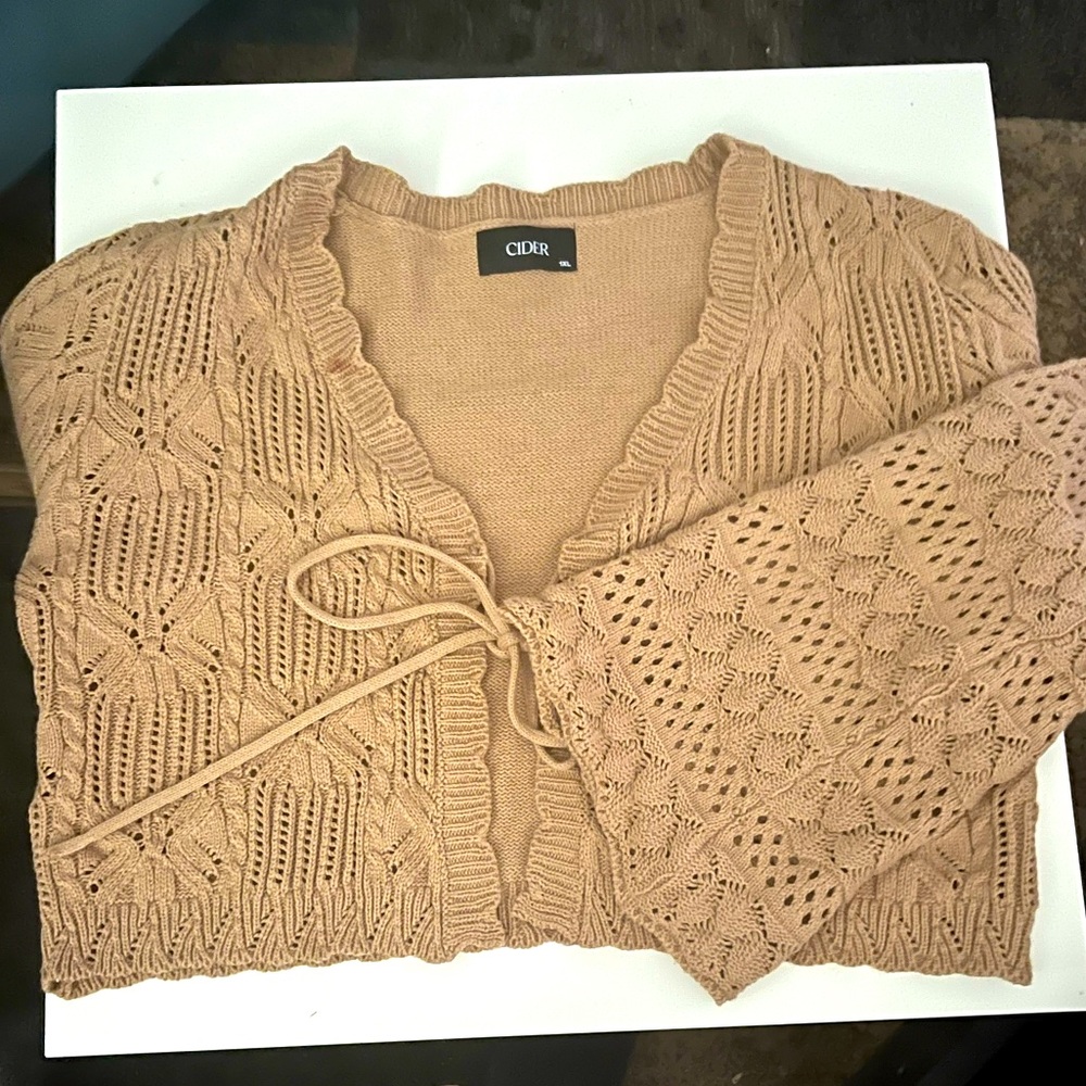 Cider Beige Crop Sweater